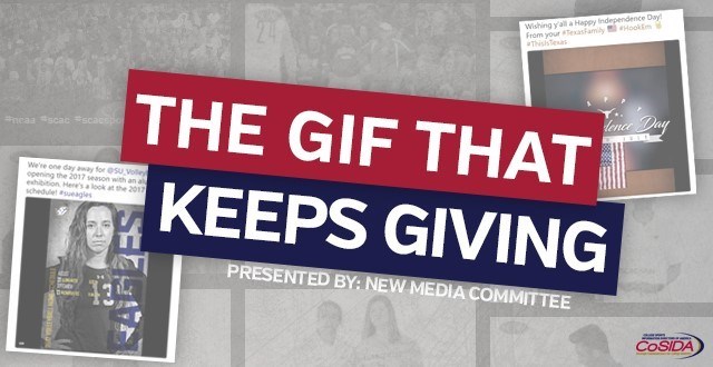 New Media Committee Feature: The GIF That Keeps On Giving